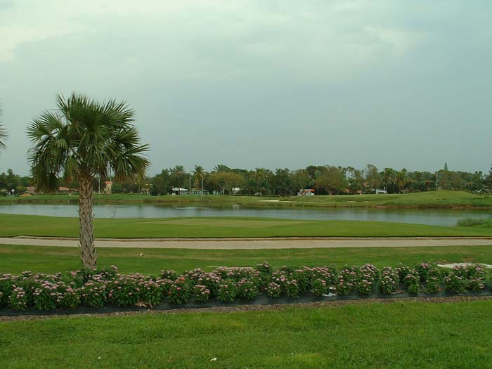 miami_odd_photos (16)