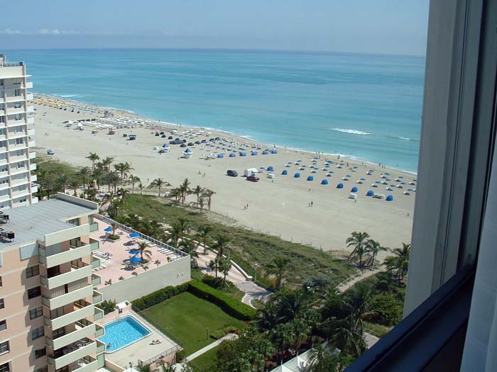 miami_odd_photos (17)