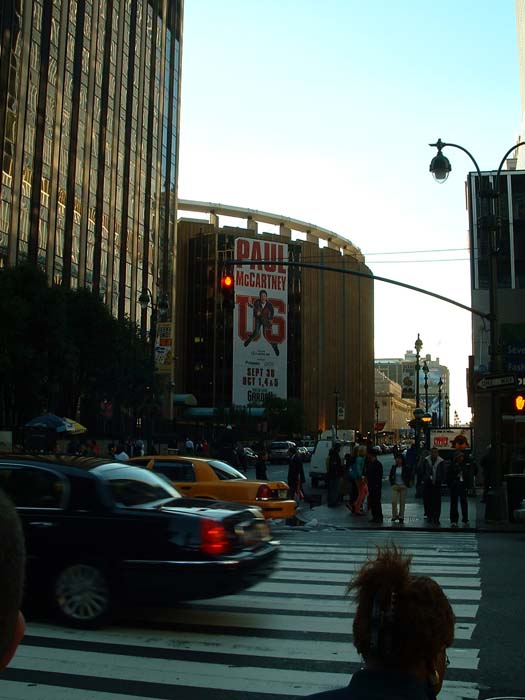 new_york (15)