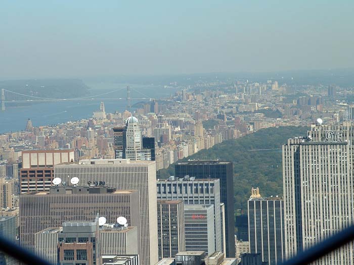 new_york (25)