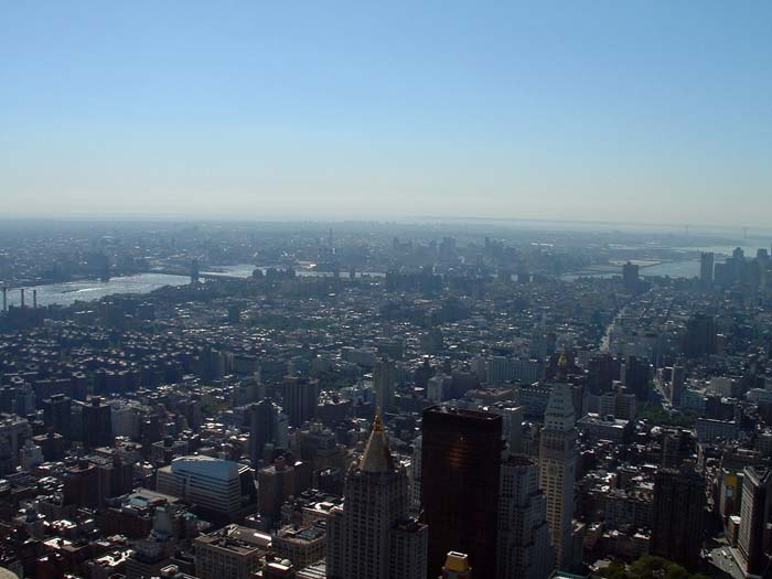 new_york (36)