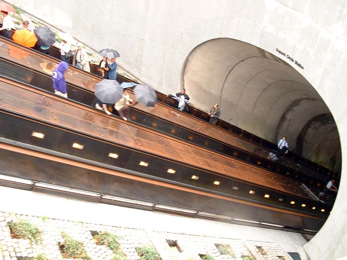 washington_dc_scenic (19)