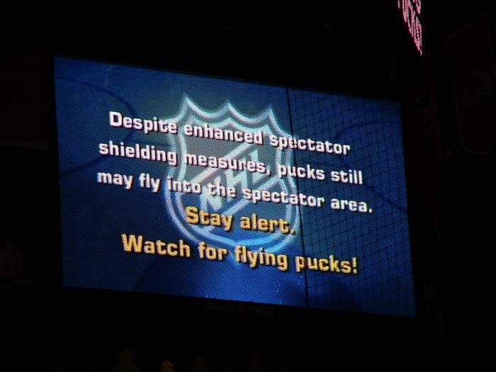 minneapolis_the_hockey (2)