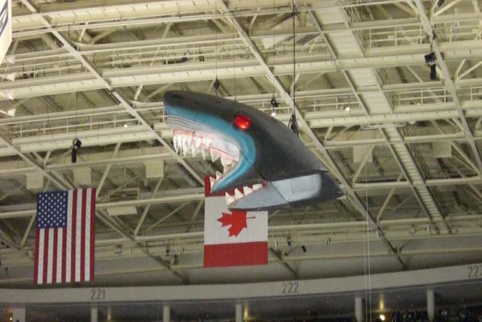 san_jose_the_hockey (13)