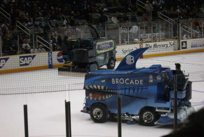 san_jose_the_hockey (2)