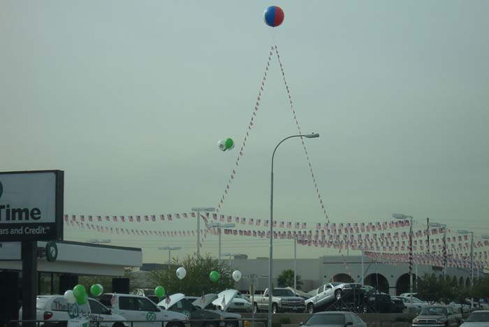 phoenix_alies_sanctuary (10)