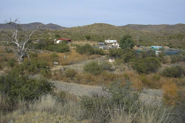 phoenix_alies_sanctuary (17)