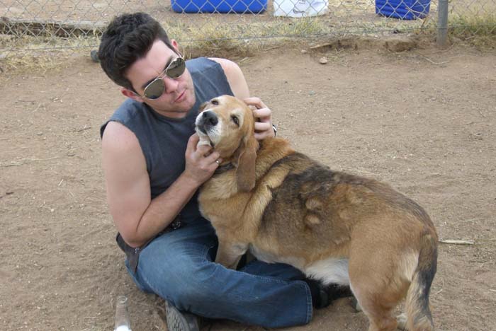 phoenix_alies_sanctuary (23)