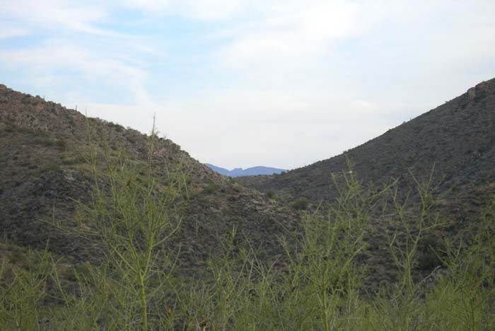 phoenix_alies_sanctuary (66)