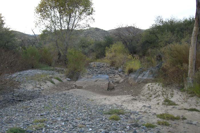 phoenix_alies_sanctuary (77)