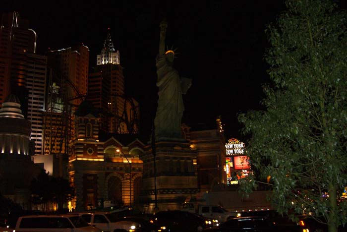 las_vegas_scenic (17)