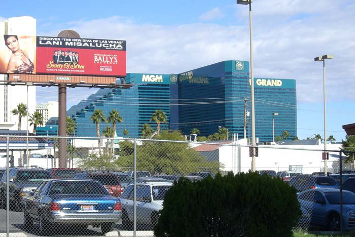 las_vegas_scenic (36)