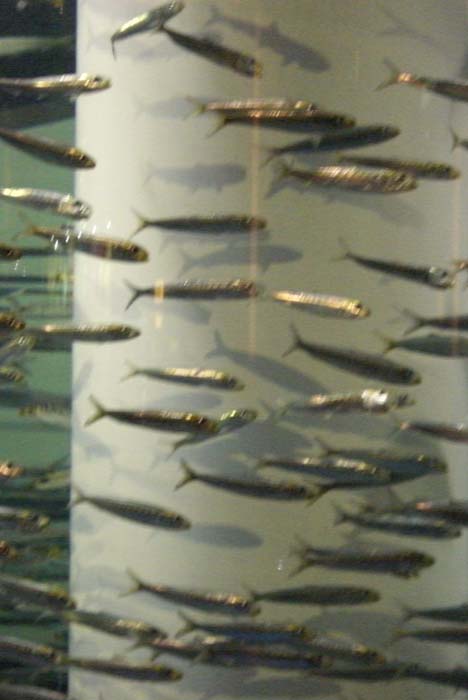 las_vegas_scenic (4)