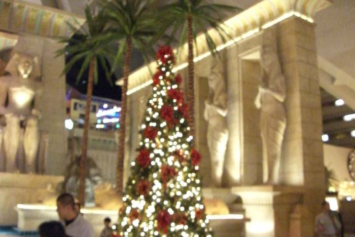 las_vegas_scenic (45)