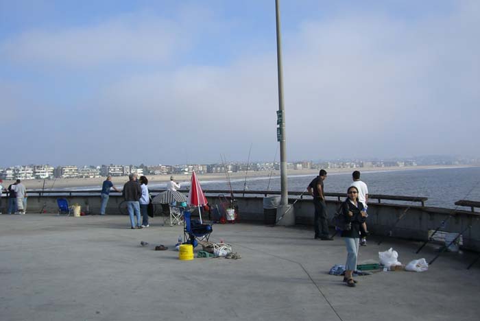 los_angeles_scenic (11)